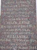 image number 1050274